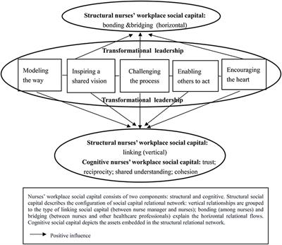 Nurses' Workplace Social Capital and the Influence of Transformational Leadership: A Theoretical Perspective